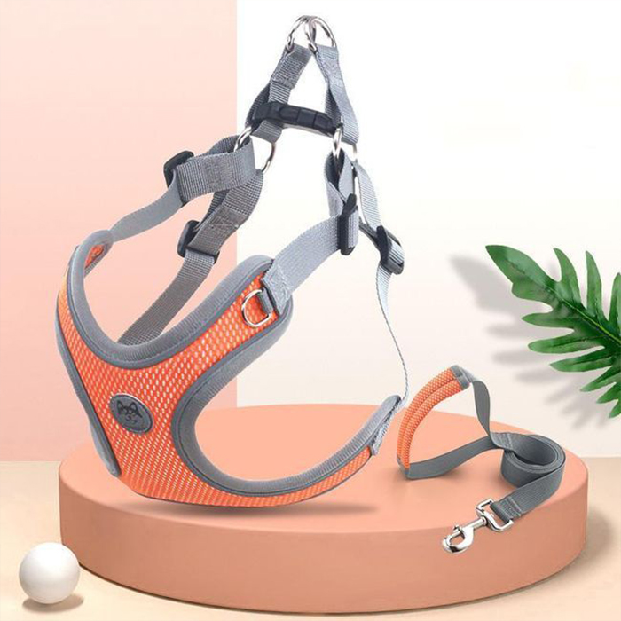 Point harness