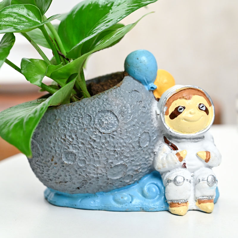Astronaut Money Plant - Image 3