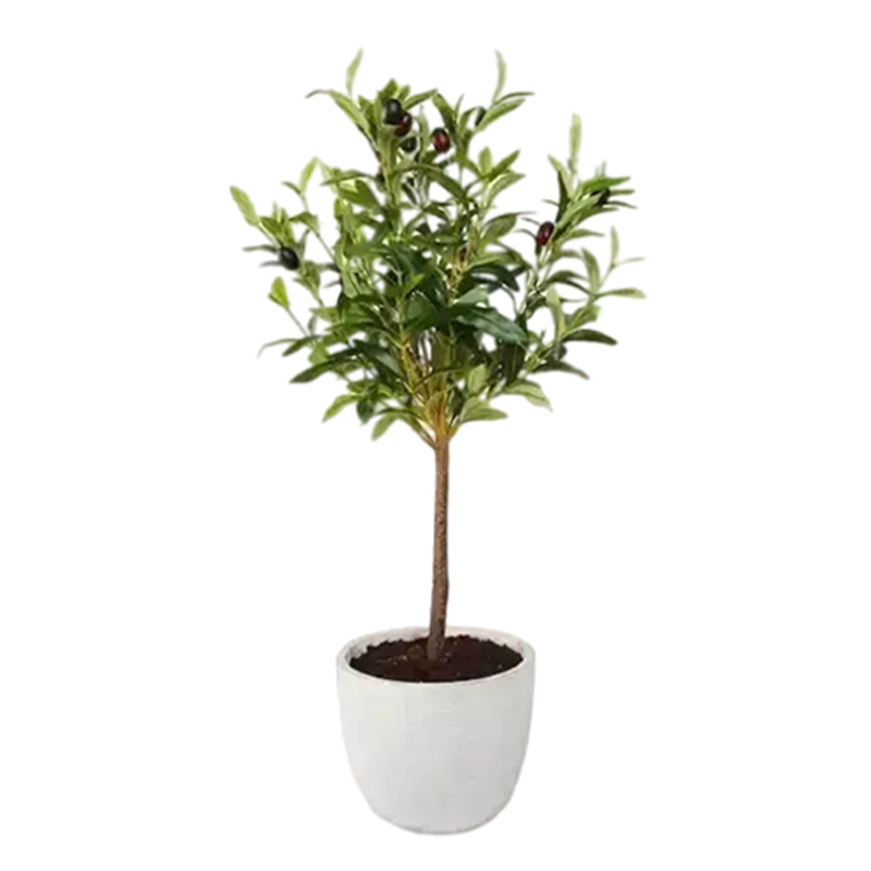 Flora Bunda 28