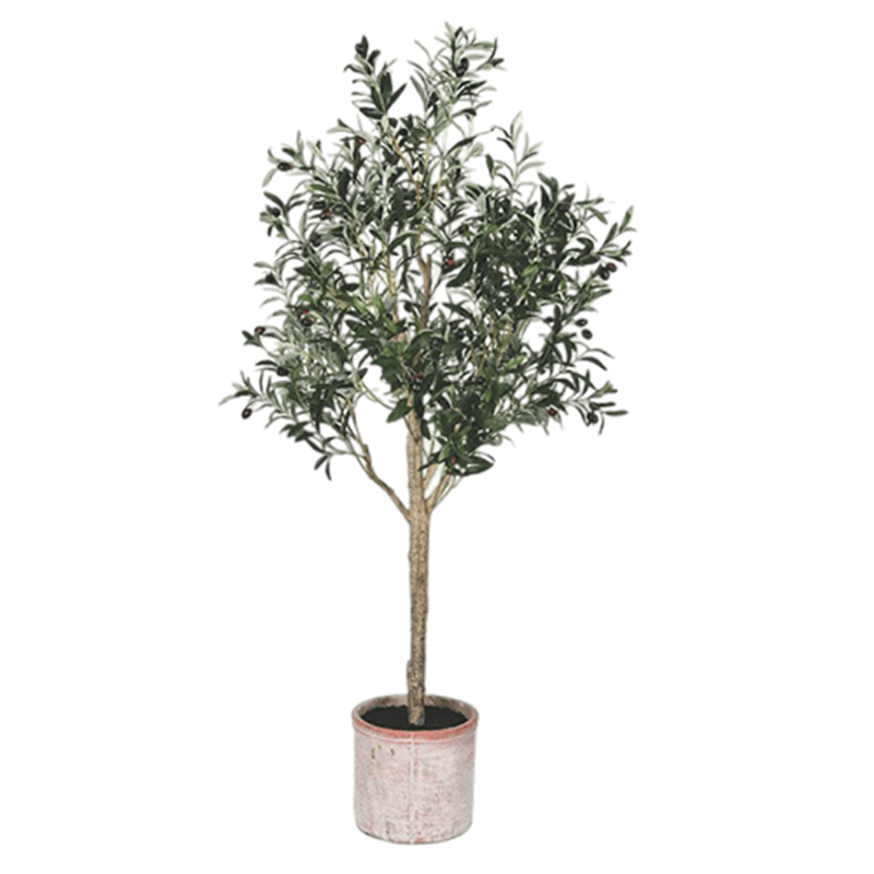 Vickerman 60