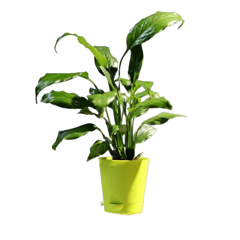 Artificial Olive Tree 4 feet With Pot